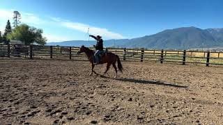 Dally - Video 5