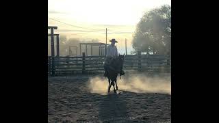 Jamison - Video 3