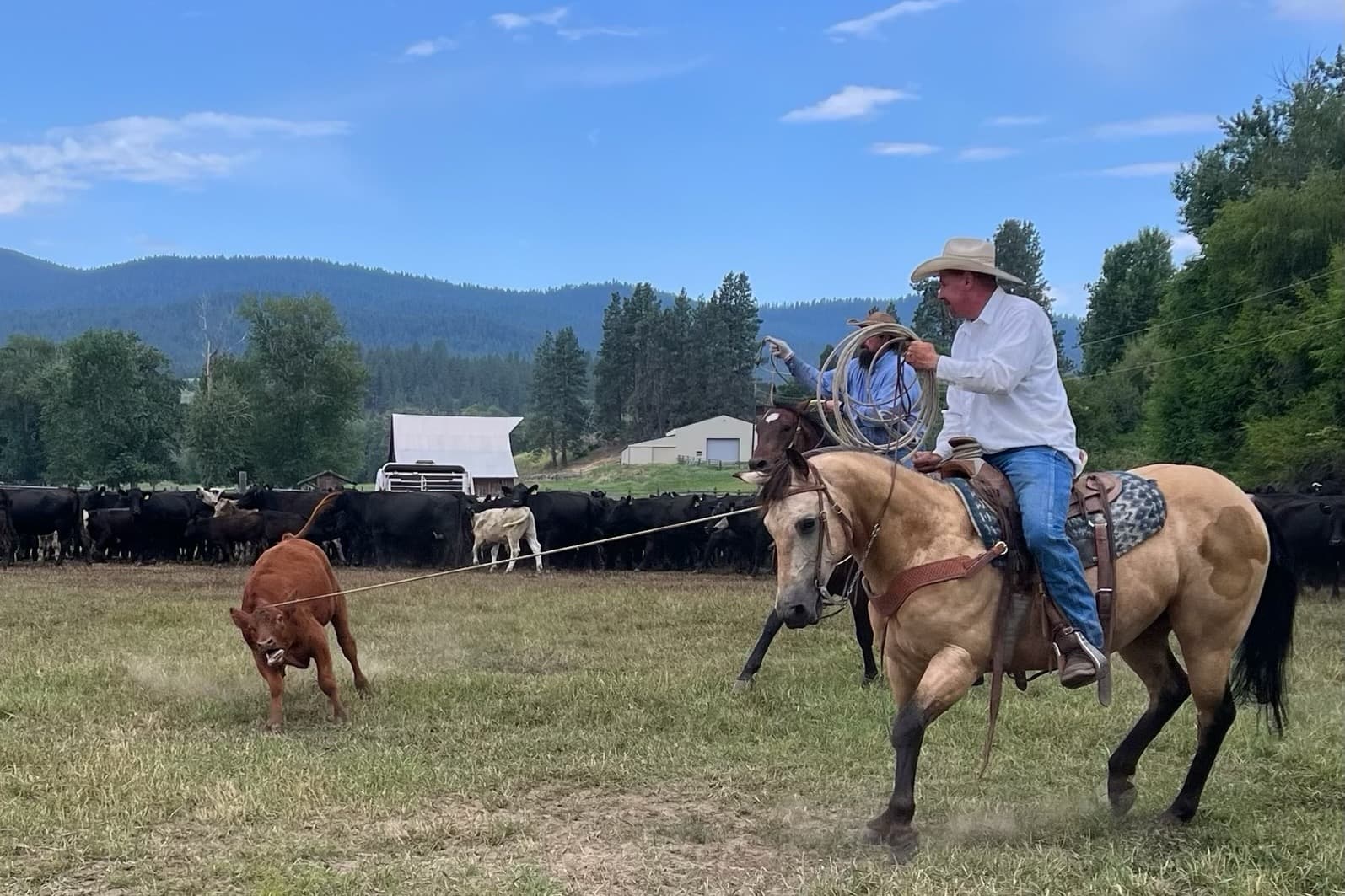 Benson Ranch Horsemanship
